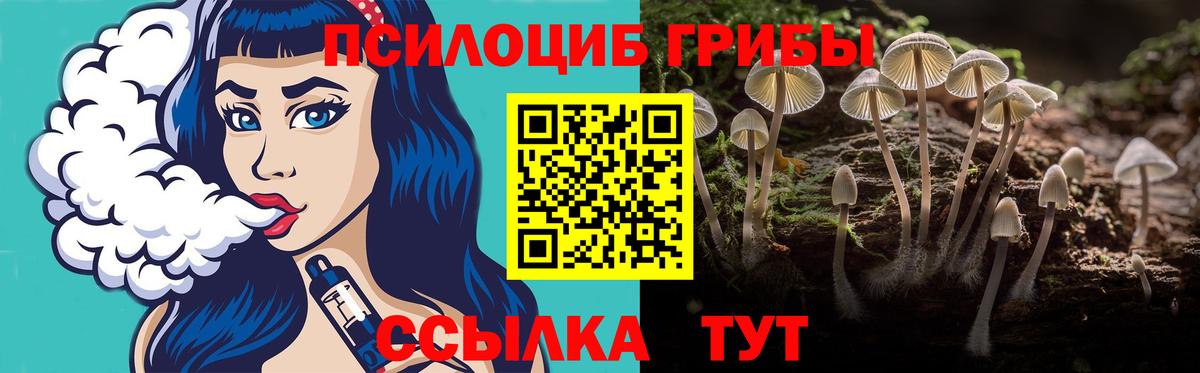 Зеленодольск  Галлюциногенные грибы прущие грибы  Вход с VPN 